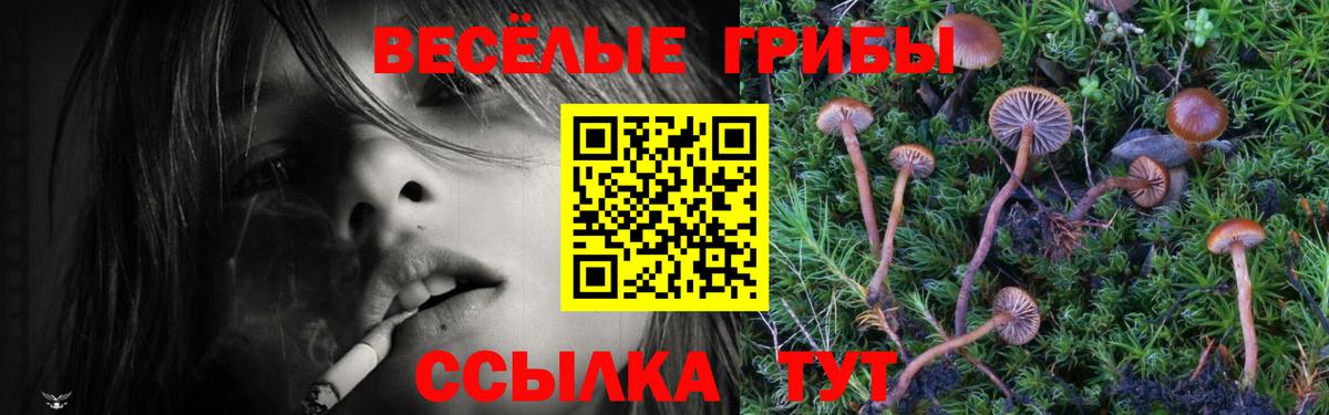 Галлюциногенные грибы мухоморы  Псилоцибиновые грибы Cubensis  Вход с VPN  Ангарск 